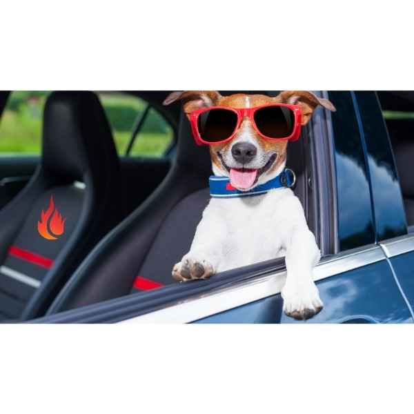 gadgets for cars