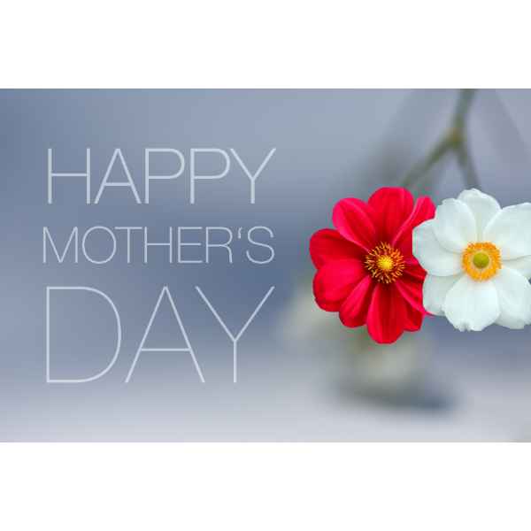 mother's day gift ideas